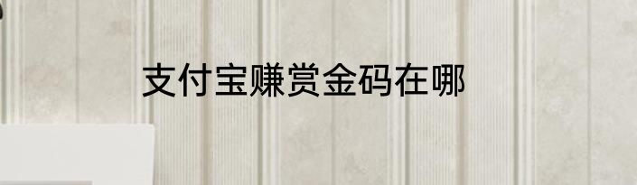 支付宝赚赏金码在哪