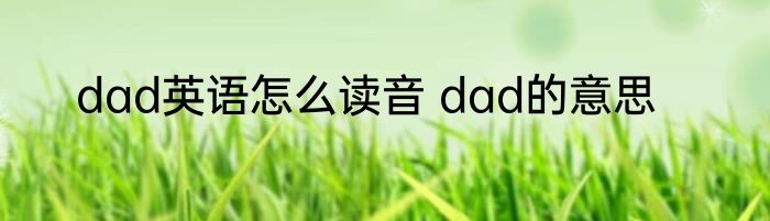 dad英语怎么读音 dad的意思