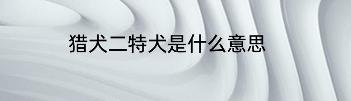 猎犬二特犬是什么意思