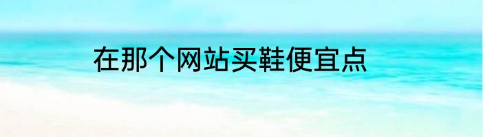 在那个网站买鞋便宜点