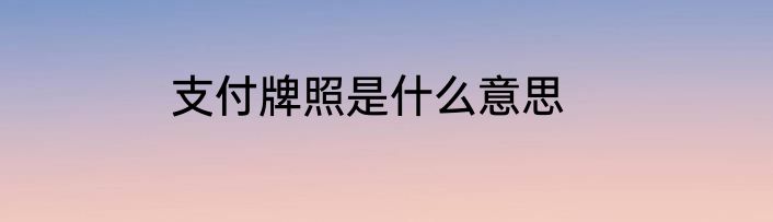 支付牌照是什么意思