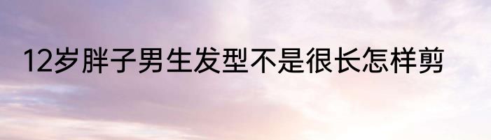 12岁胖子男生发型不是很长怎样剪