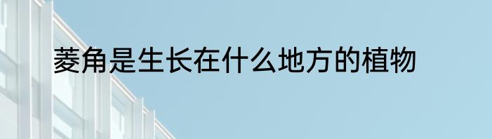 菱角是生长在什么地方的植物