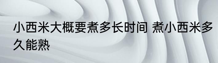 小西米大概要煮多长时间 煮小西米多久能熟