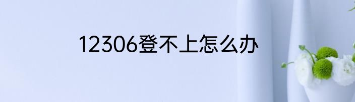 12306登不上怎么办