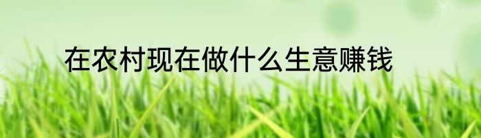 在农村现在做什么生意赚钱