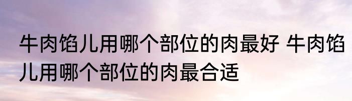 牛肉馅儿用哪个部位的肉最好 牛肉馅儿用哪个部位的肉最合适
