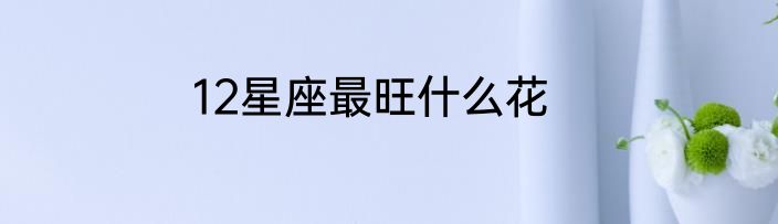12星座最旺什么花