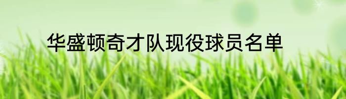 华盛顿奇才队现役球员名单