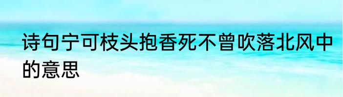 诗句宁可枝头抱香死不曾吹落北风中的意思