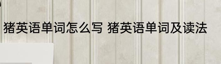 猪英语单词怎么写 猪英语单词及读法