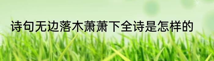 诗句无边落木萧萧下全诗是怎样的
