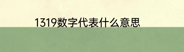 1319数字代表什么意思
