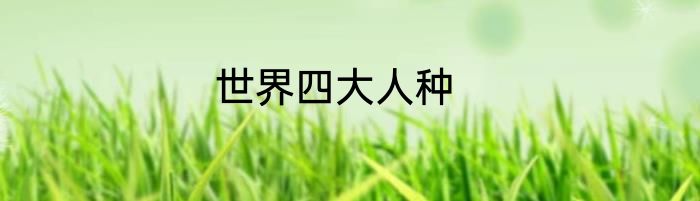 世界四大人种