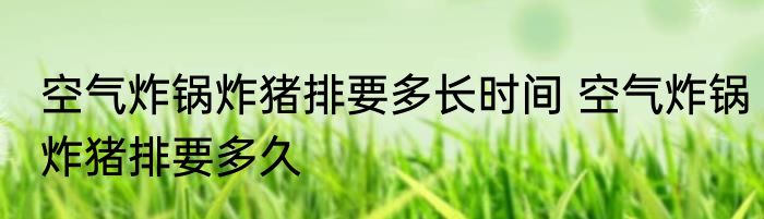 空气炸锅炸猪排要多长时间 空气炸锅炸猪排要多久