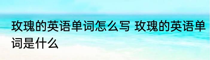 玫瑰的英语单词怎么写 玫瑰的英语单词是什么