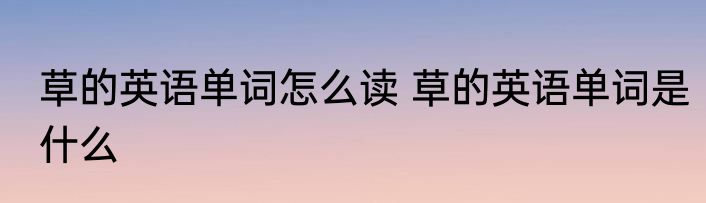 草的英语单词怎么读 草的英语单词是什么