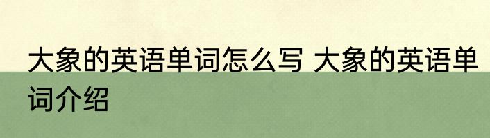 大象的英语单词怎么写 大象的英语单词介绍