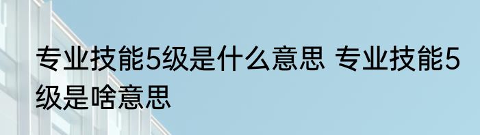 专业技能5级是什么意思 专业技能5级是啥意思