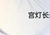 宫灯长寿花简单介绍