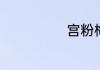 宫粉梅怎么养殖
