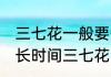 三七花一般要煮多长时间 一般要煮多长时间三七花