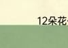 12朵花代表什么意思
