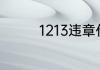 1213违章代码是什么意思