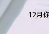 12月你好励志句子
