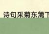 诗句采菊东篱下悠然见南山全诗介绍