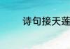 诗句接天莲叶无穷碧的意思