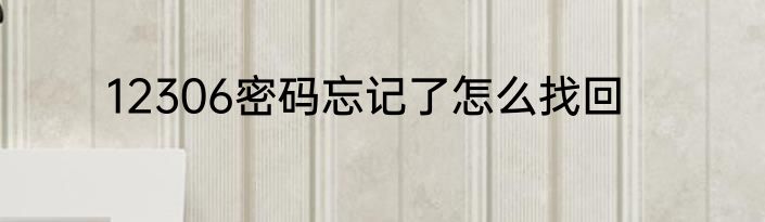 12306密码忘记了怎么找回