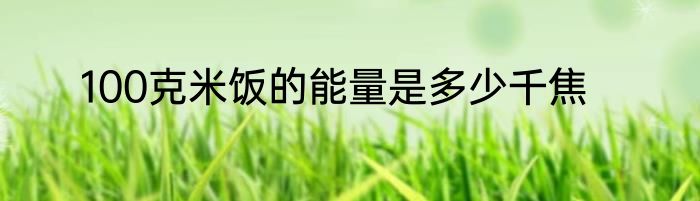 100克米饭的能量是多少千焦