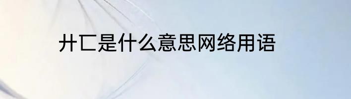 廾匸是什么意思网络用语