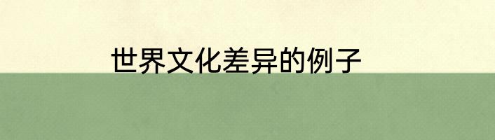 世界文化差异的例子