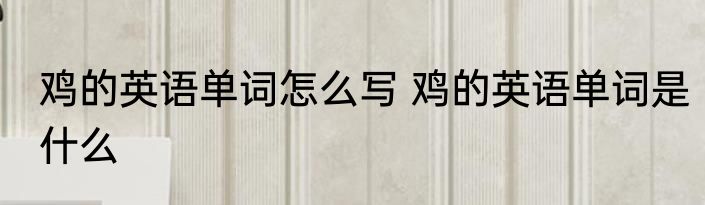 鸡的英语单词怎么写 鸡的英语单词是什么