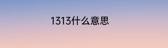 1313什么意思