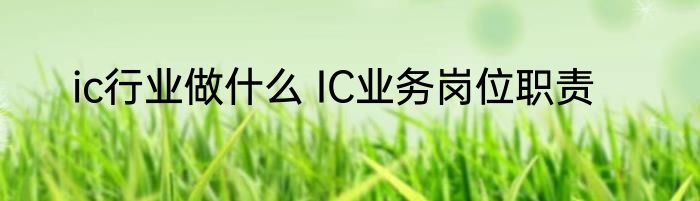 ic行业做什么 IC业务岗位职责