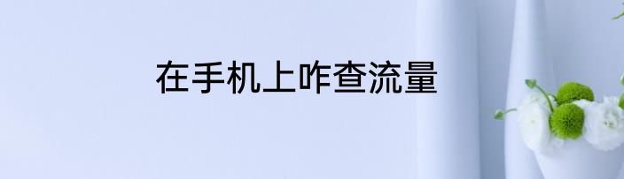 在手机上咋查流量