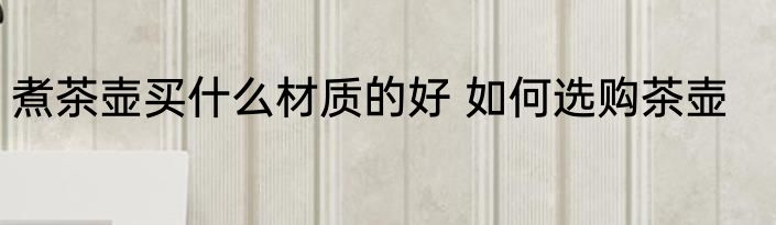 煮茶壶买什么材质的好 如何选购茶壶