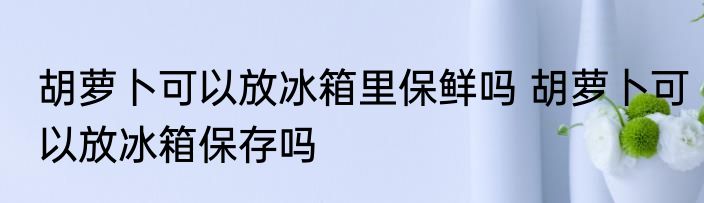 胡萝卜可以放冰箱里保鲜吗 胡萝卜可以放冰箱保存吗