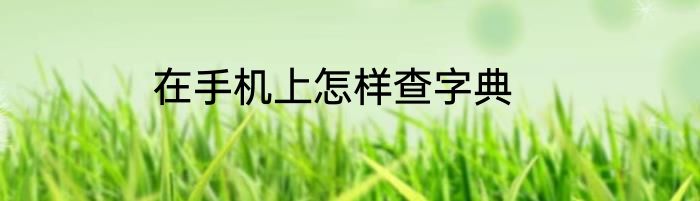 在手机上怎样查字典