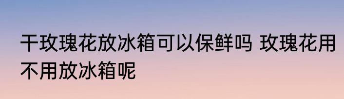 干玫瑰花放冰箱可以保鲜吗 玫瑰花用不用放冰箱呢