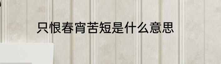 只恨春宵苦短是什么意思