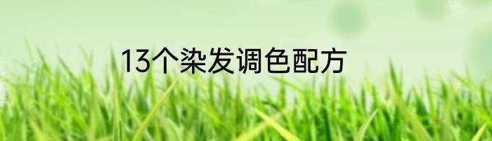 13个染发调色配方