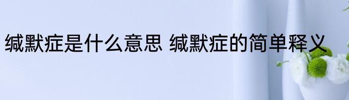 缄默症是什么意思 缄默症的简单释义