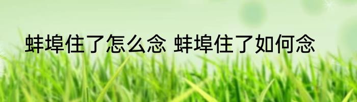 蚌埠住了怎么念 蚌埠住了如何念