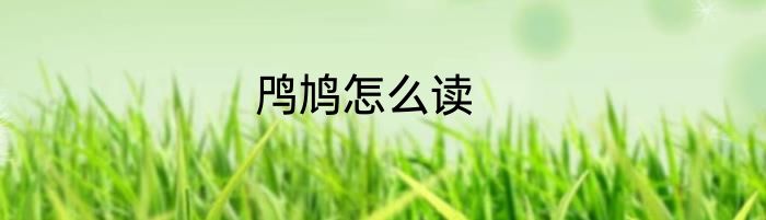 鸤鸠怎么读