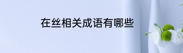 在丝相关成语有哪些