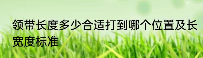 领带长度多少合适打到哪个位置及长宽度标准